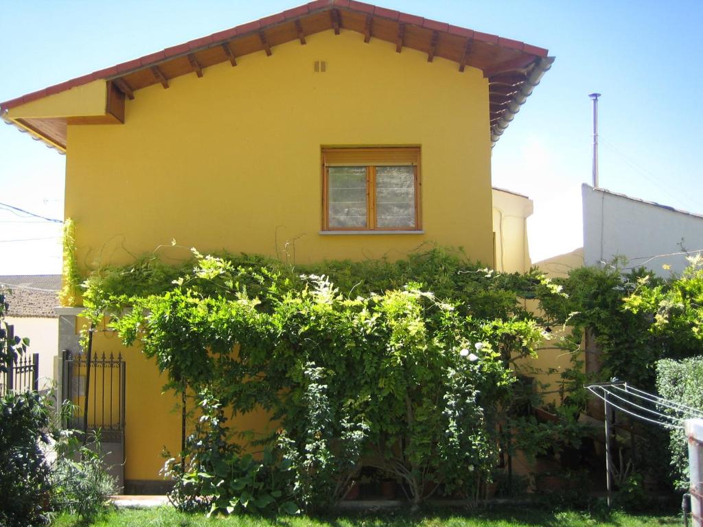 Une maison jaune avec un tas de vignes dessus dans l'établissement Casa Rural Casa Juli, à Arguedas