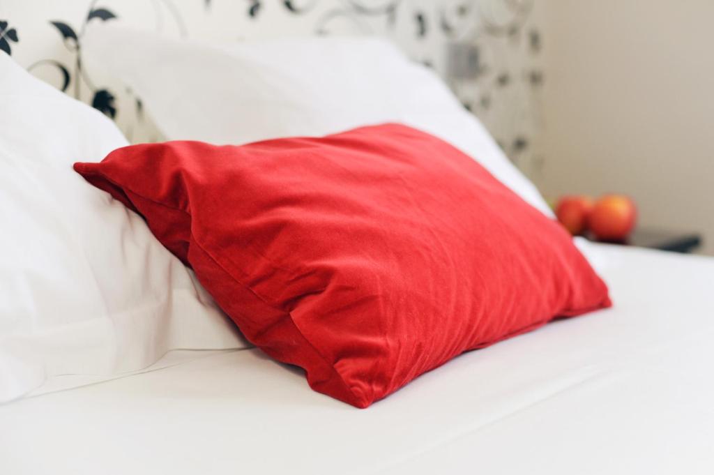 Hotel Domus - Resim 19