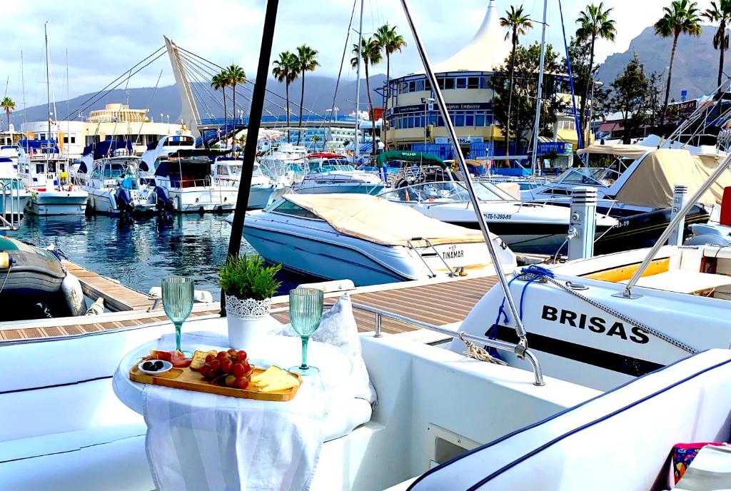 Puerto Colon Tenerife Map Boat Barco Pita - Puerto Colón, Adeje, Spain - Booking.com