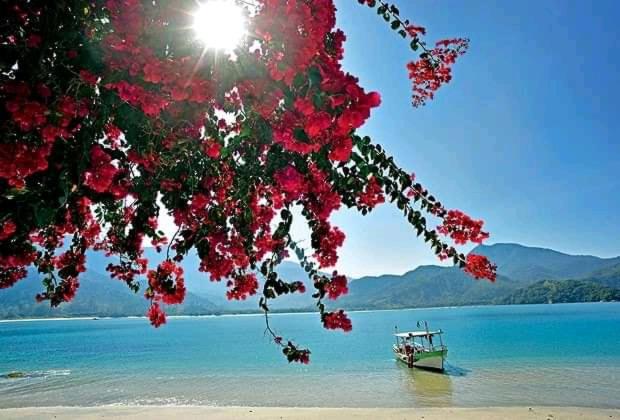  Cantinho do Boris II