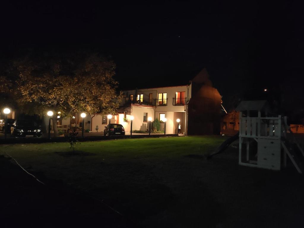 a house at night with lights in the yard at LuDo Apartman Hotel & Spa in Makó