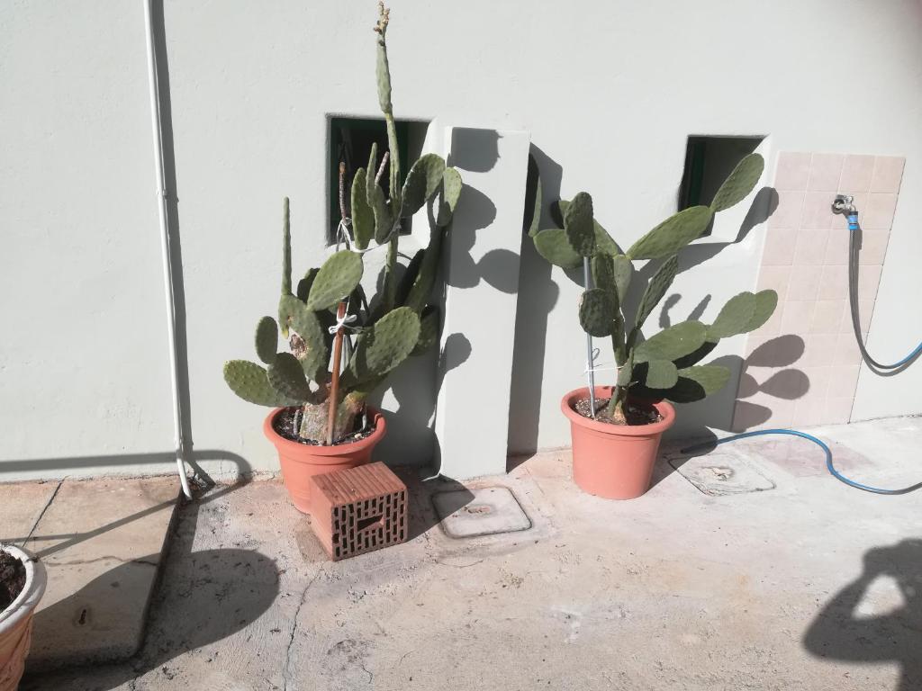 Fotografia z galérie ubytovania Gorizia vacanze appartamento in villa con parcheggio v destinácii Gorizia