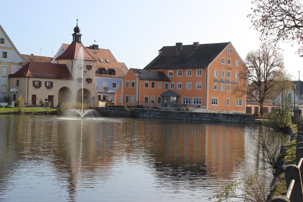 uitzicht op een rivier met huizen en gebouwen bij Hotel Gasthof Seehof in Allersberg