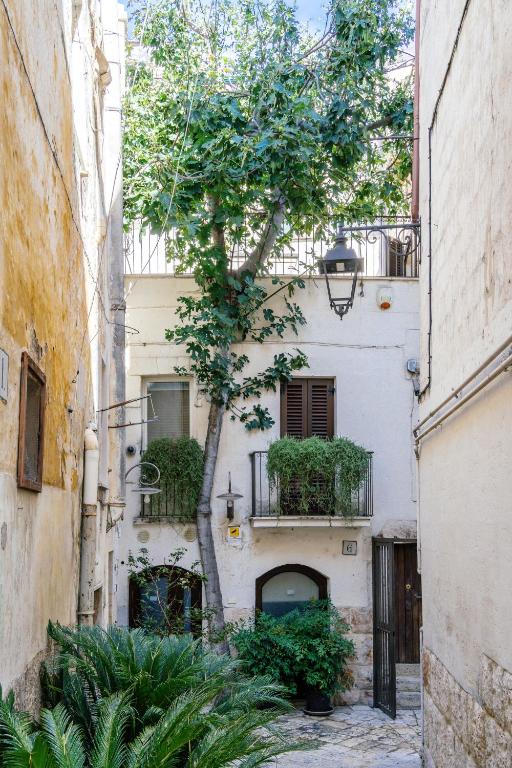 un callejón en un viejo edificio con un árbol en Il Claustro - Bed and breakfast, en Altamura
