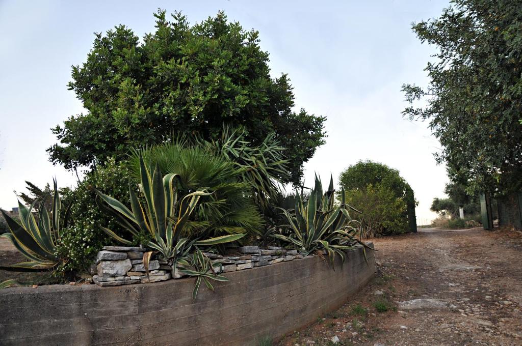 Vonkajšia záhrada v ubytovaní Casale la Macina Residence Scopello