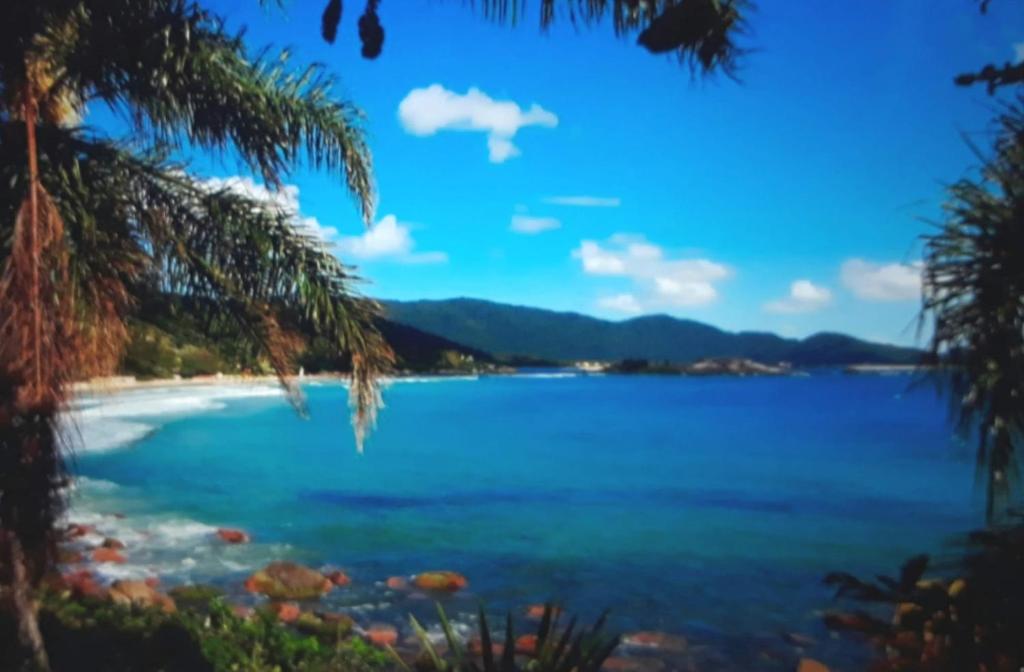 Blick auf einen Strand mit Palmen in der Unterkunft EXCELENTE APTO NA QUADRA DA PRAIA in Bombas