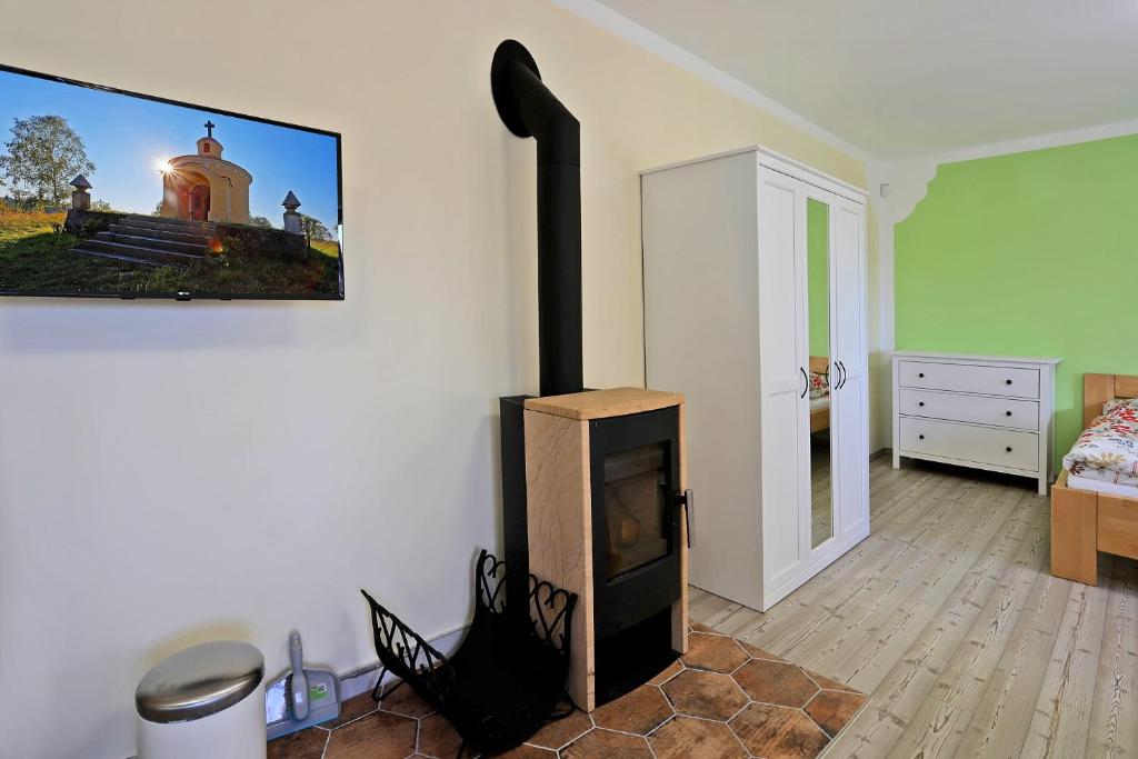 TV a/nebo společenská místnost v ubytování Apartments Pavel