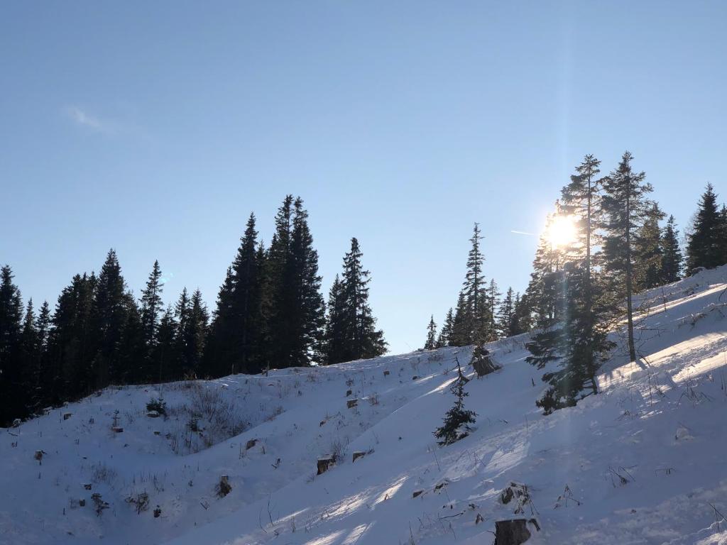 Berghütte Murmele v zimě