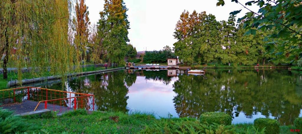 Gallery image of Friend's House in Piteşti