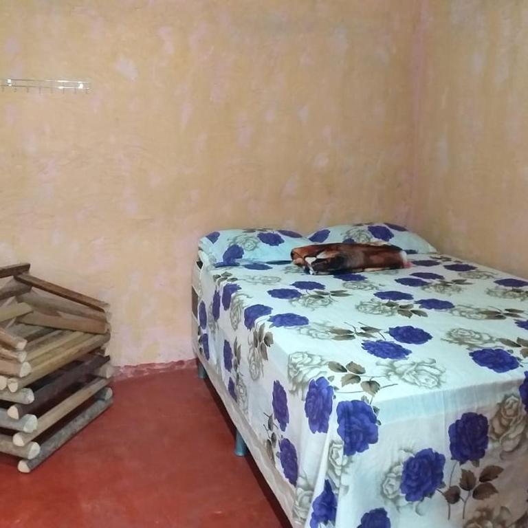 Refúgio do Raiz Camping