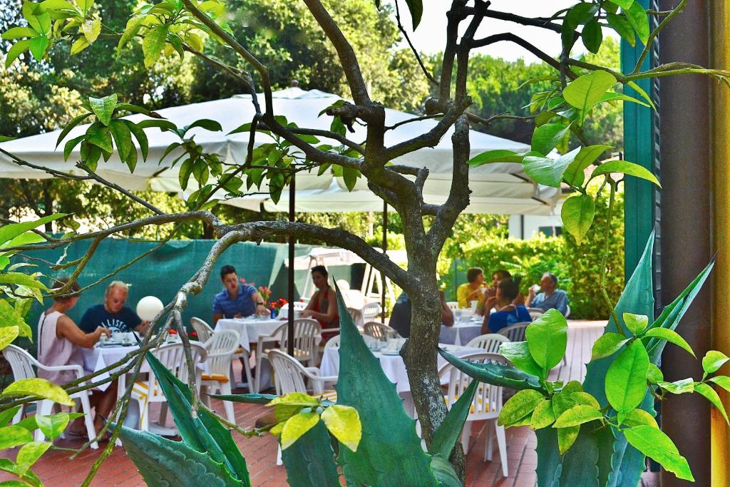Zahrada ubytování Hotel Villa Fiorisella