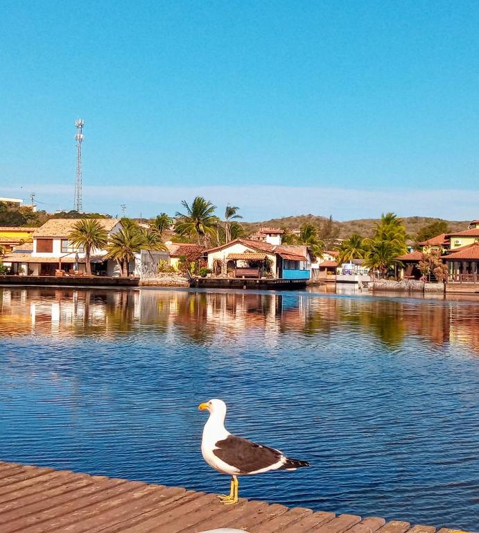  De Boa na Lagoa Cabo Frio