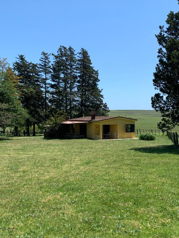 a yellow house in the middle of a field at Tranquilo entorno campestre in Treinta y Tres