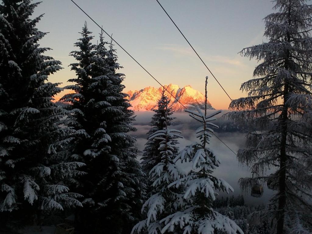 Príroda v okolí apartmánu