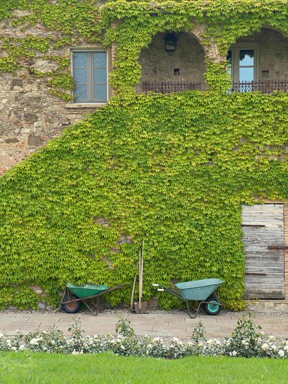 Ogród w obiekcie Relais Sant'Elena