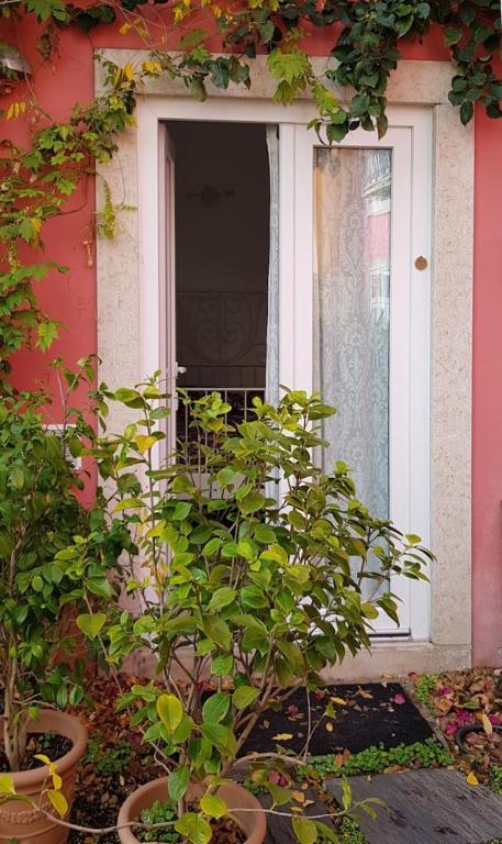 Tings Lisbon - Resim 3