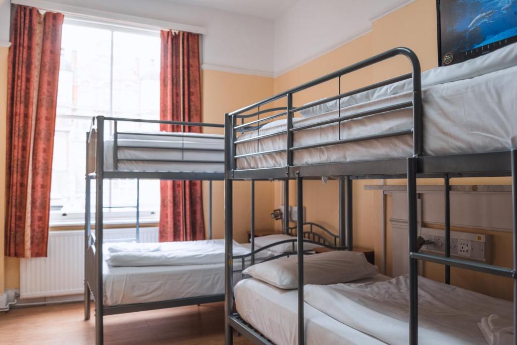 Dolphin Inn - The Lodge - Resim 7