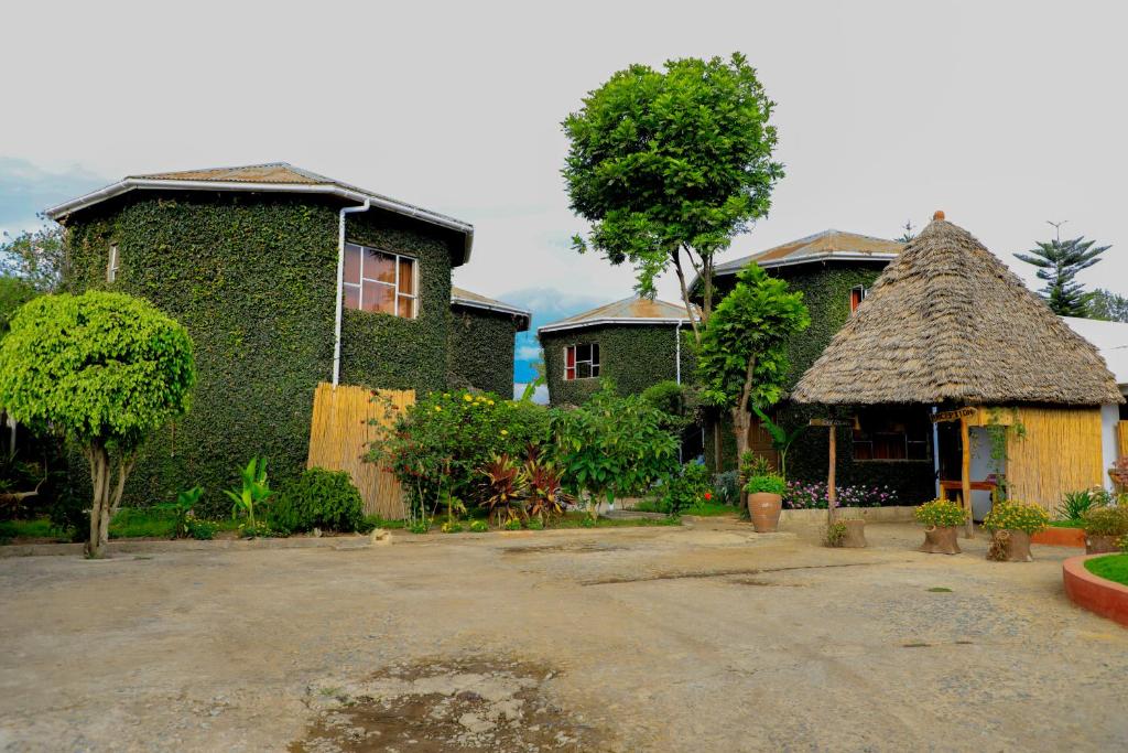 a group of houses with grass roofs at Dan Stam Hotel in Arusha