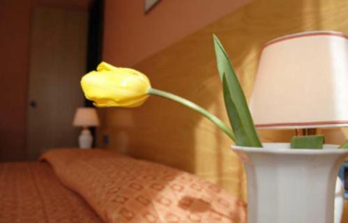 Postel nebo postele na pokoji v ubytování Hotel Des Geneys