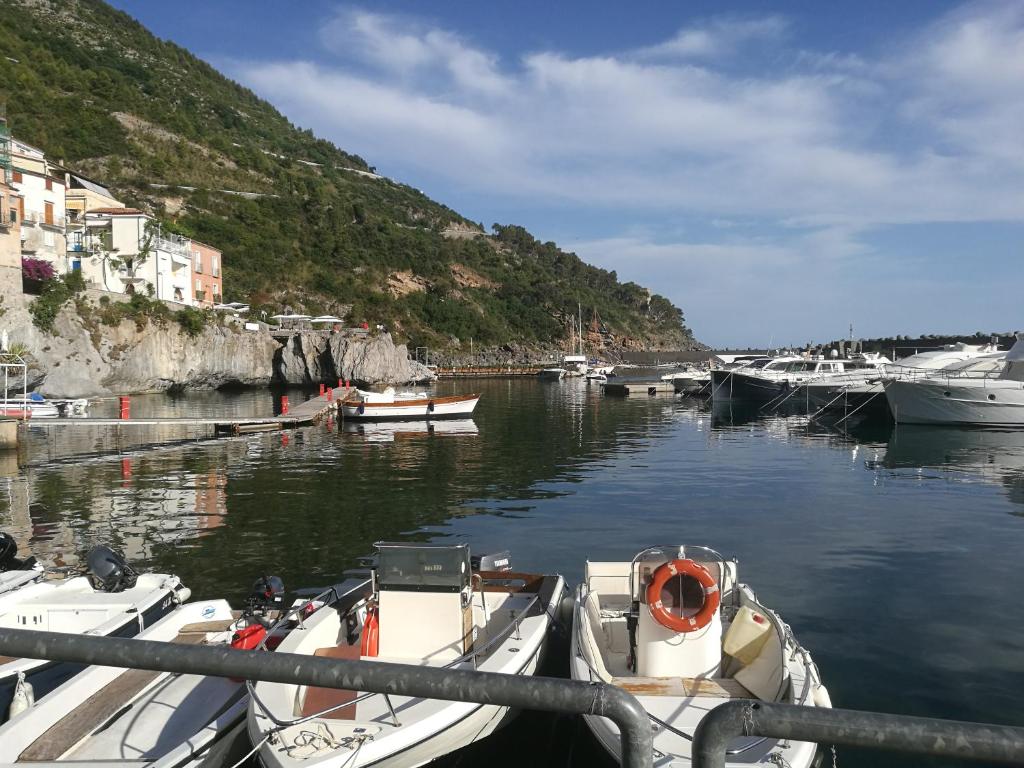 Derechos de imagen reservados por Booking.com