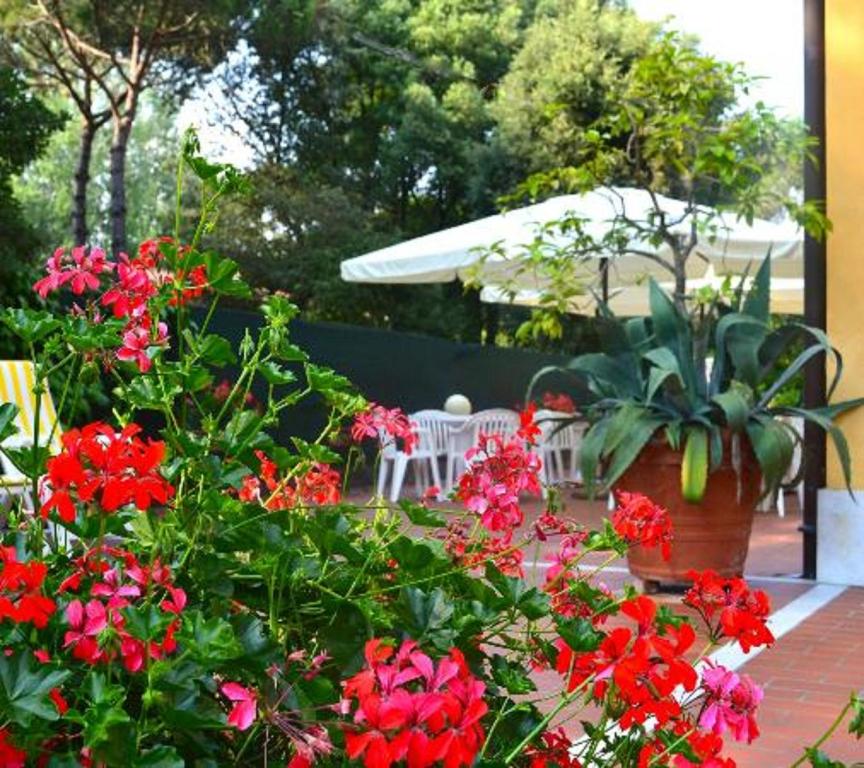 Zahrada ubytování Hotel Villa Fiorisella