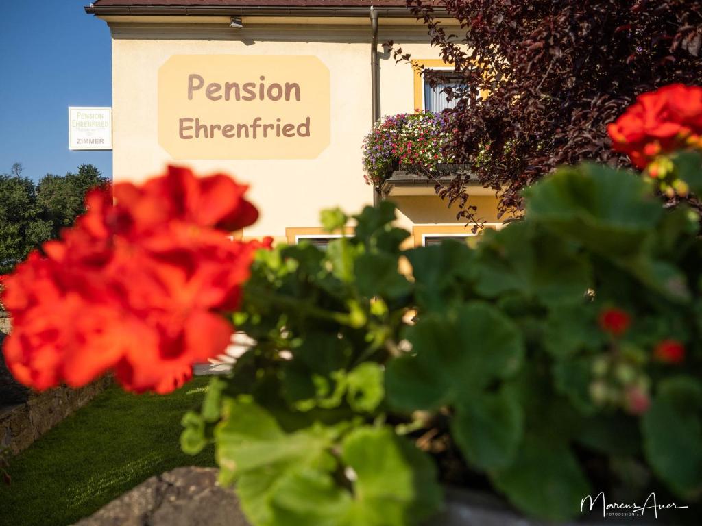 Zahrada ubytování Pension Ehrenfried - Hotel garni