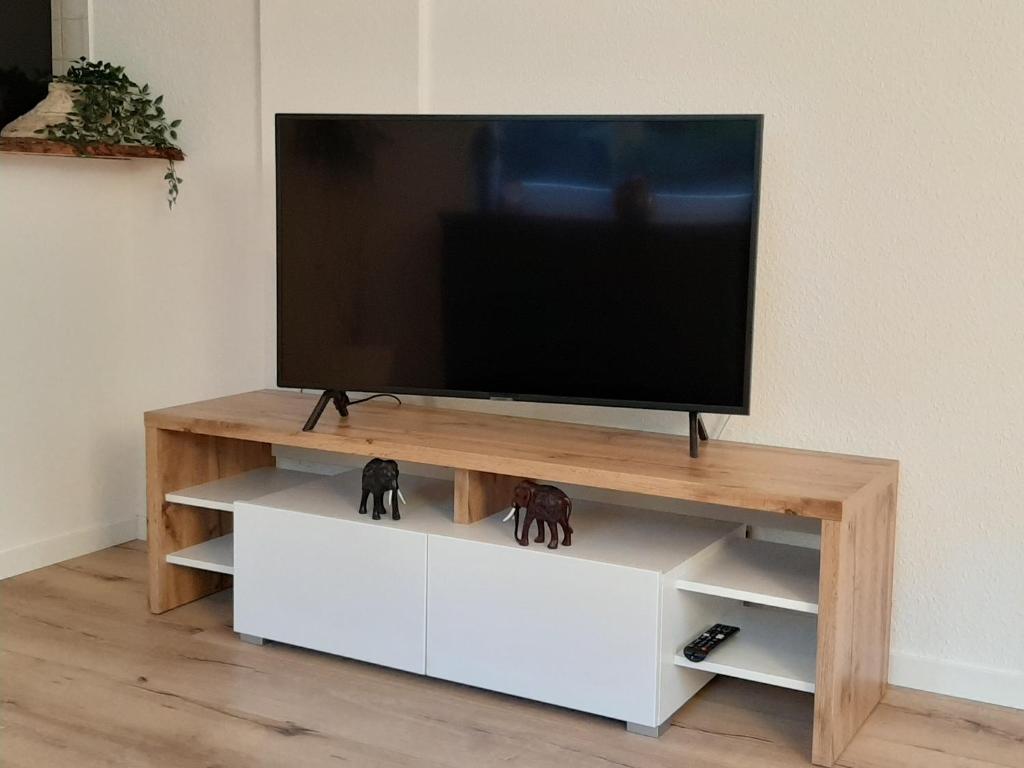 TV a/nebo společenská místnost v ubytování Melibokusblick