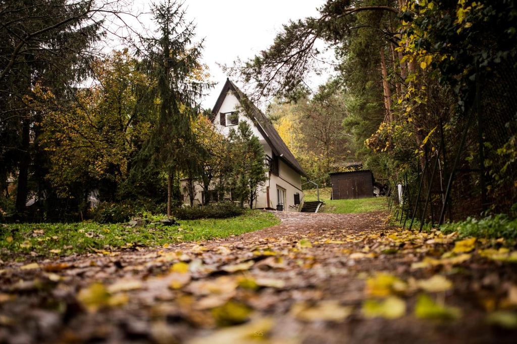 une maison sur une route avec des feuilles au sol dans l'établissement Fenyves út 1, à Esztergom