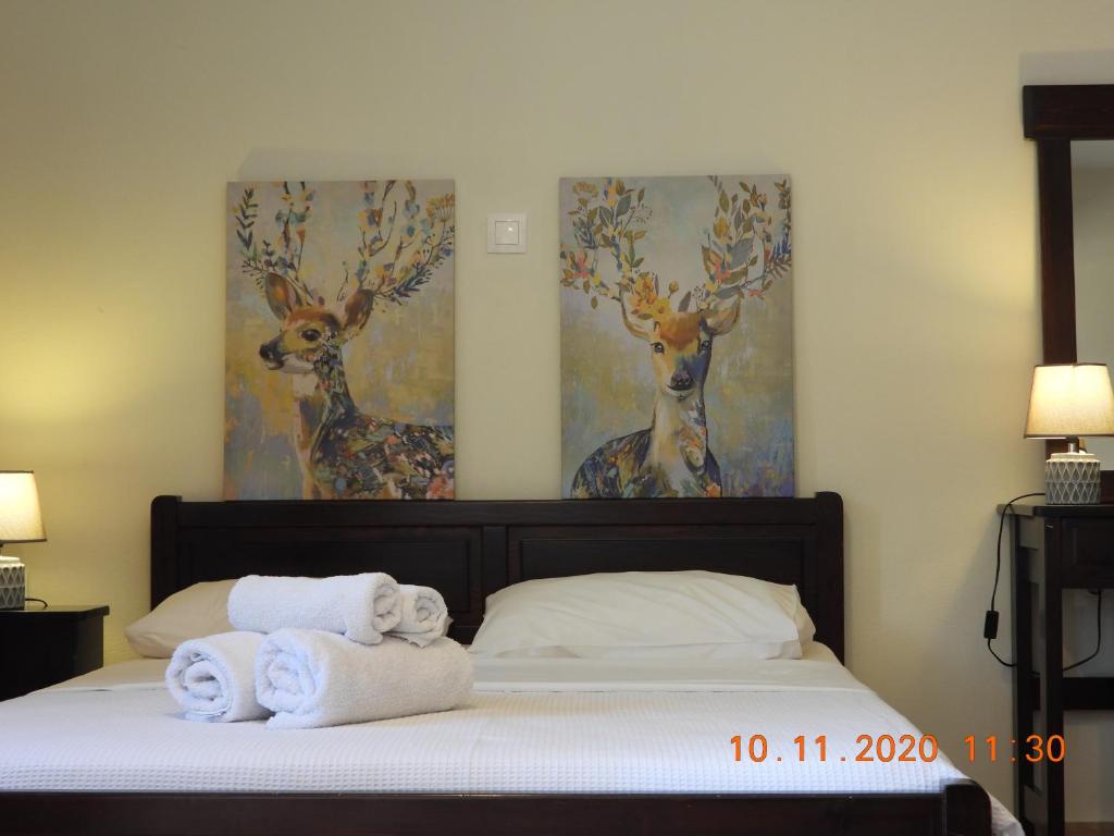 Sophia Limeni Apartments and Studios - 带有海景的公寓 - 一楼