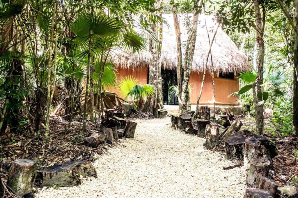Zahrada ubytování Jolie Jungle Eco Hotel
