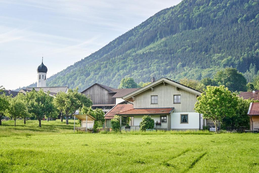 a group of houses in a field with a mountain at Ferienwohnung Wallner in Bad Feilnbach