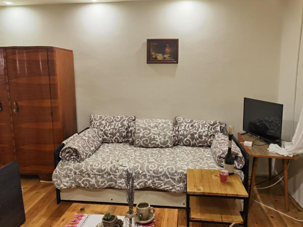 Televízia a/alebo spoločenská miestnosť v ubytovaní Konak -Guest house -Ramonda Serbika