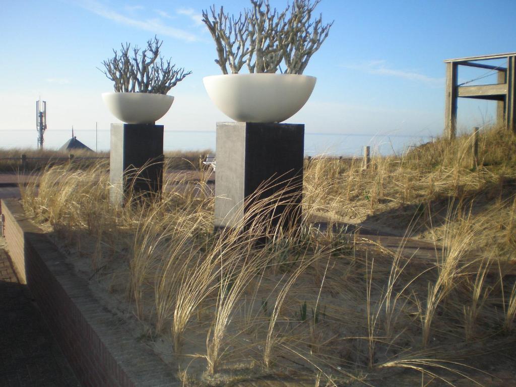 Fotografie z fotogalerie ubytování B&B Zeespiegel v destinaci Zandvoort