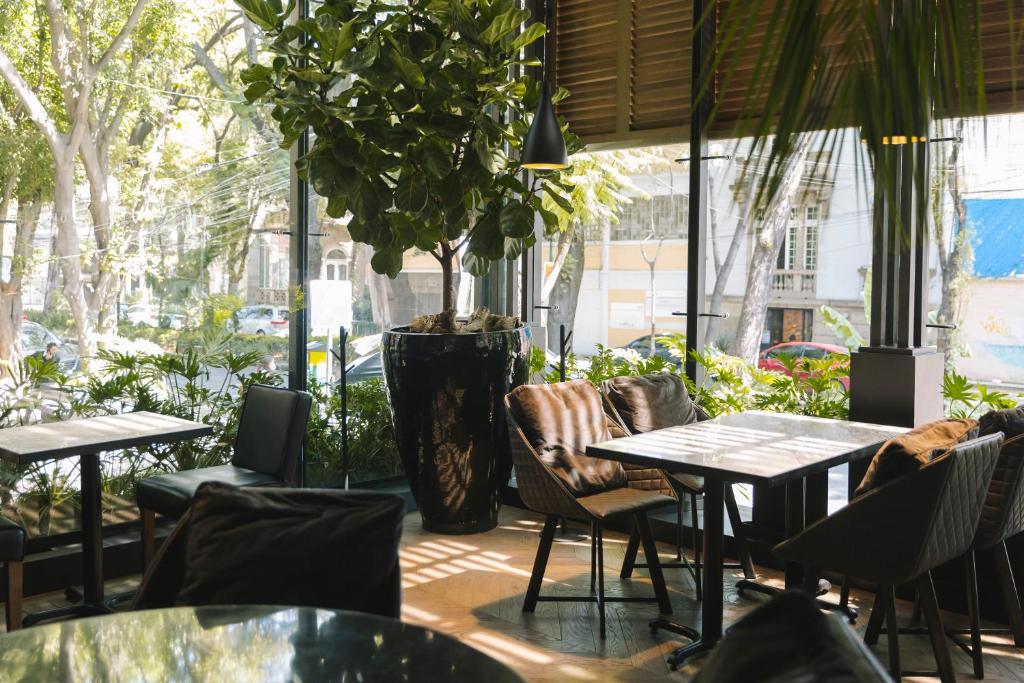 a restaurant with tables and chairs and a potted plant at Brick Hotel Mexico City - Small Luxury Hotels of the World in Mexico City