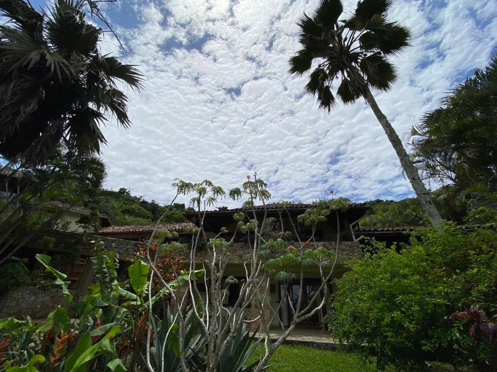  Anfiteatro Tropical