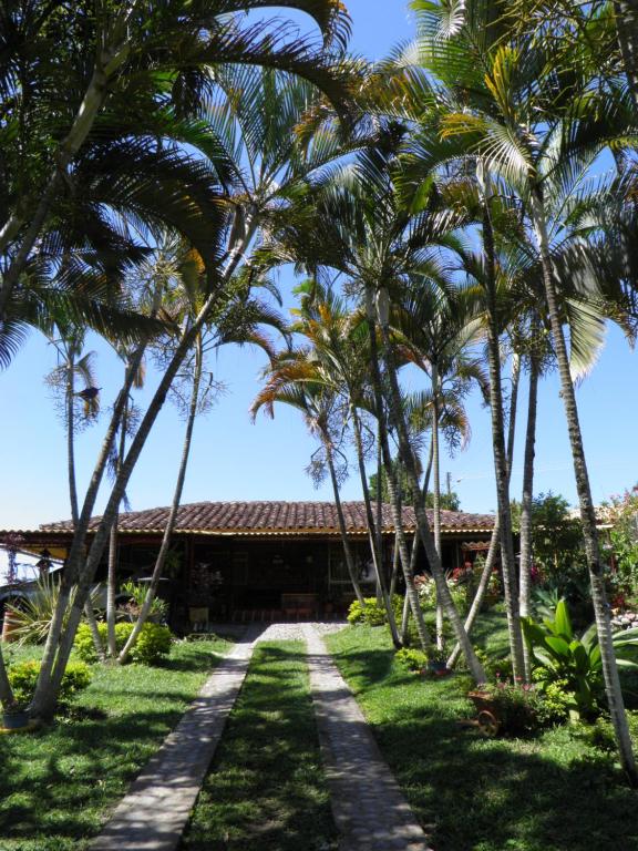 a pathway lined with palm trees in front of a house at Finca turística VILLA OFELIA in Quimbaya