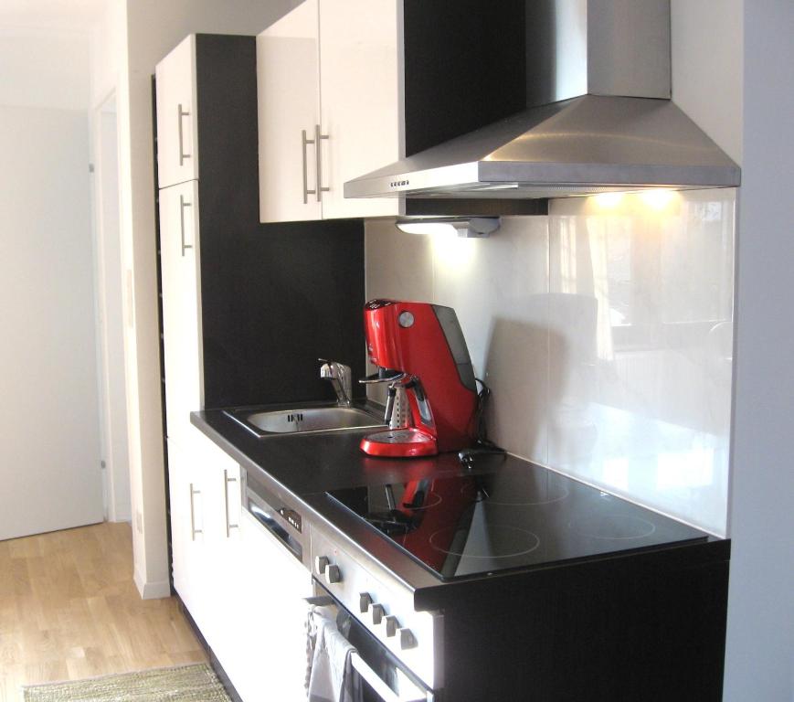 Kuchyňa alebo kuchynka v ubytovaní Hanna Apartment