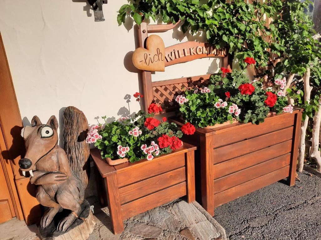 Zahrada ubytování Pension Aberger