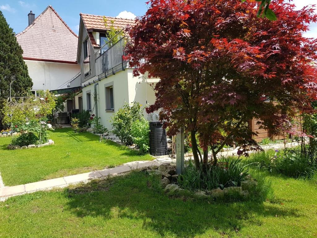 Zahrada ubytování BnB Comfort Guesthouse Olten - Lostorf