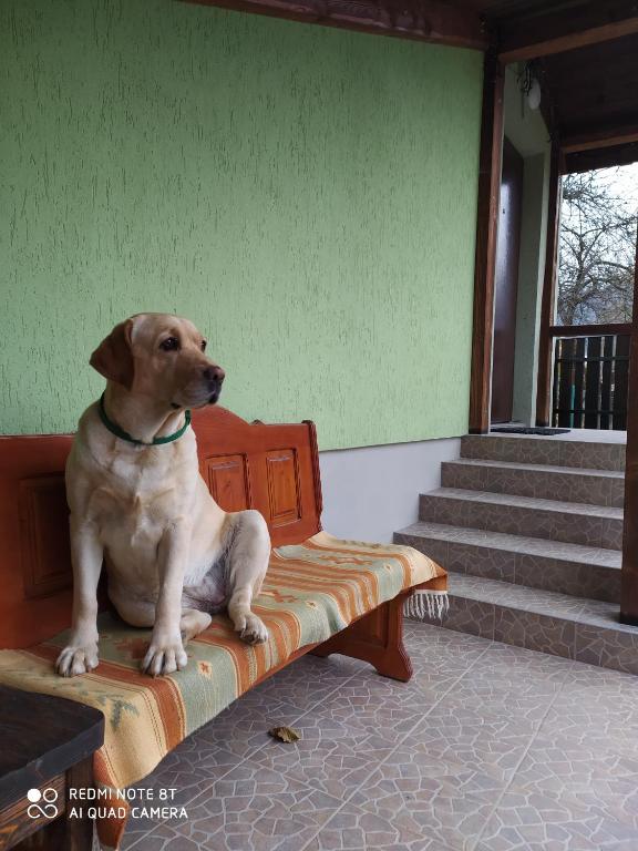 Boykivska Familiya - Casa Con Tre Camere Da Letto