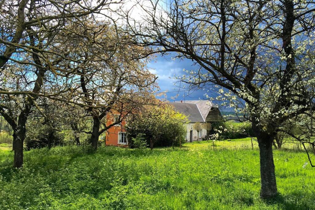 ein altes Haus auf einem Rasen mit Bäumen in der Unterkunft Ferme de Wichery, Gite 2-6 pers. in Rozoy-sur-Serre