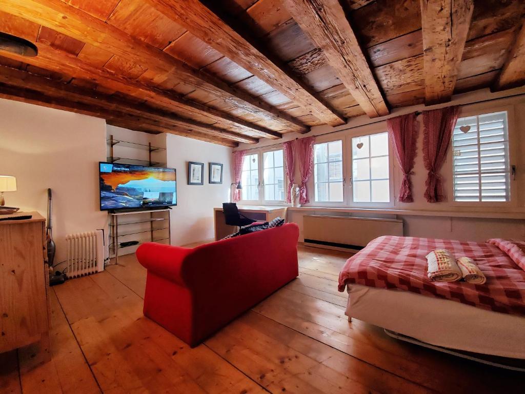 蘇黎世的住宿－Swiss Chalet Style，客厅配有红色沙发和电视