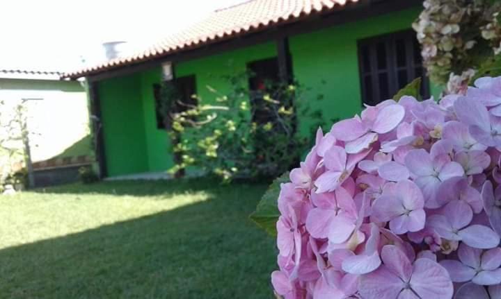 a bunch of pink flowers in front of a green house at Magistério para veraneio e descanso in Pinhal