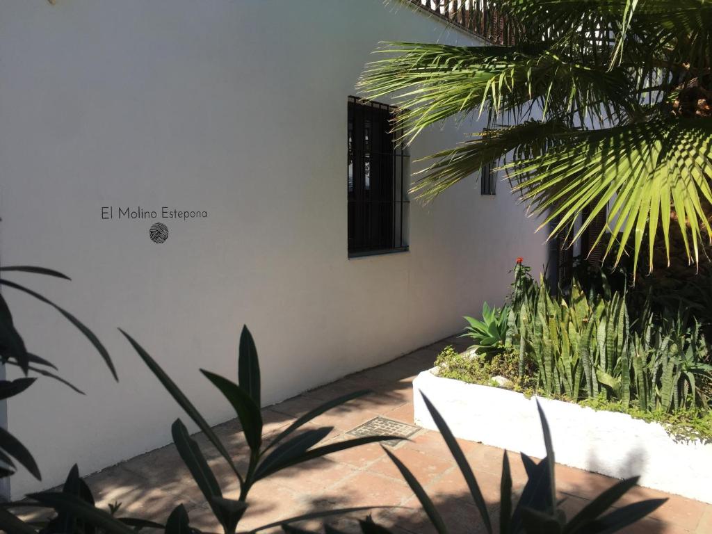 El Molino Esteponaにある庭