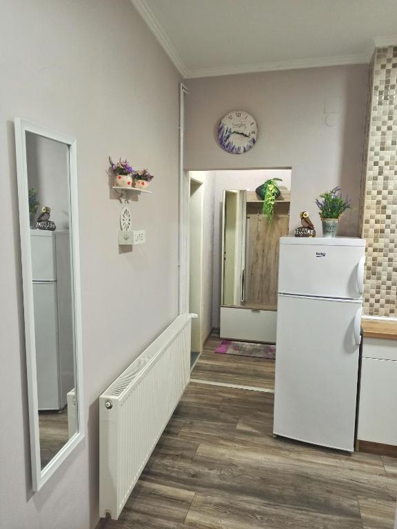 Kuchyň nebo kuchyňský kout v ubytování Apartman Centar