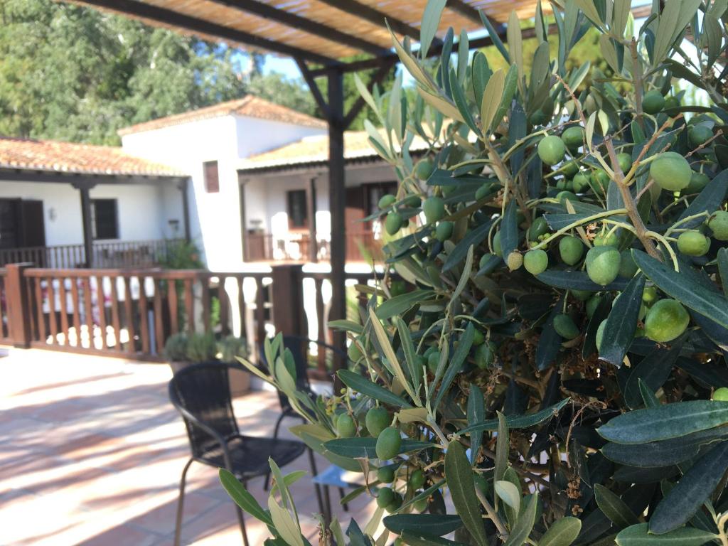 El Molino Esteponaにある庭