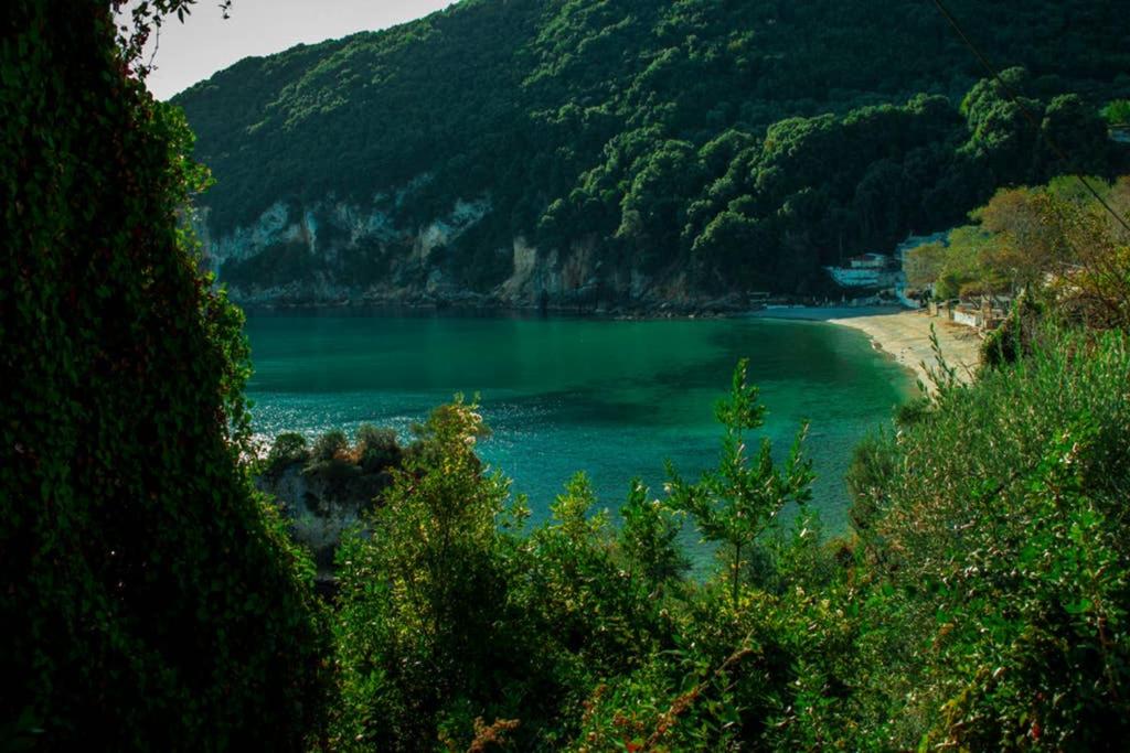 a view of a body of water with a beach at Feel at Home in Keramídhion