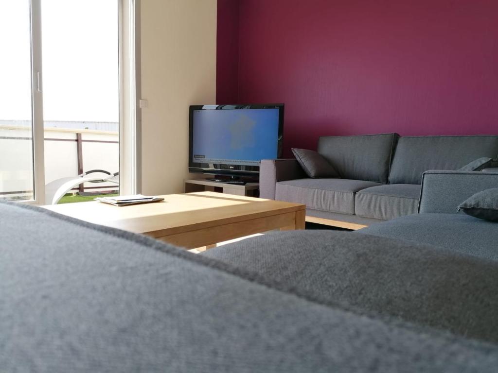 een woonkamer met een bank en een tv bij Appartement Lily-rose in Cerizay