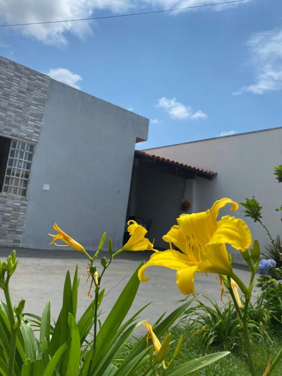  Aconchego da Gabi - Perto do centro da cidade