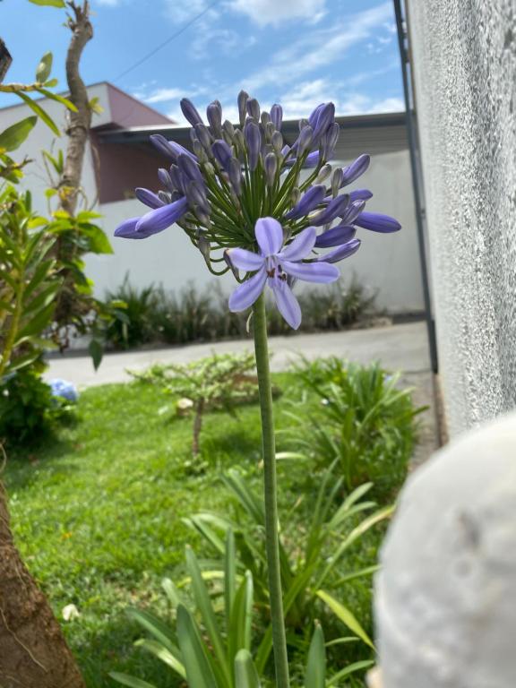  Aconchego da Gabi - Perto do centro da cidade